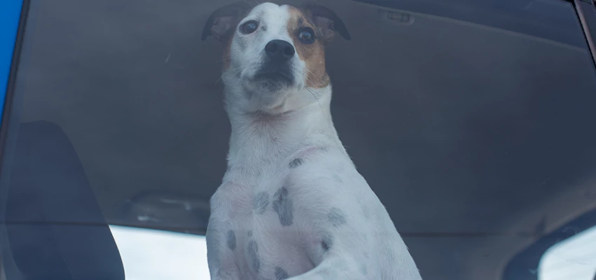 Car Lockout Solutions in Richmond, California